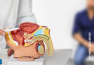 Ecografia Prostatca Transrettale