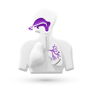 Area Terapeutica dedicata alle malattie del sistema respiratorio e alle allergie