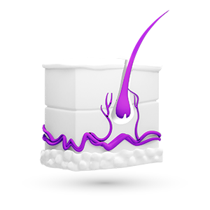 Area dedicata alla medicina che si occupa dello studio e della terapia delle patologie a carico di pelle e annessi cutanei