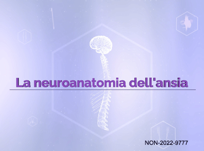 La neuroanatomia dell’ansia